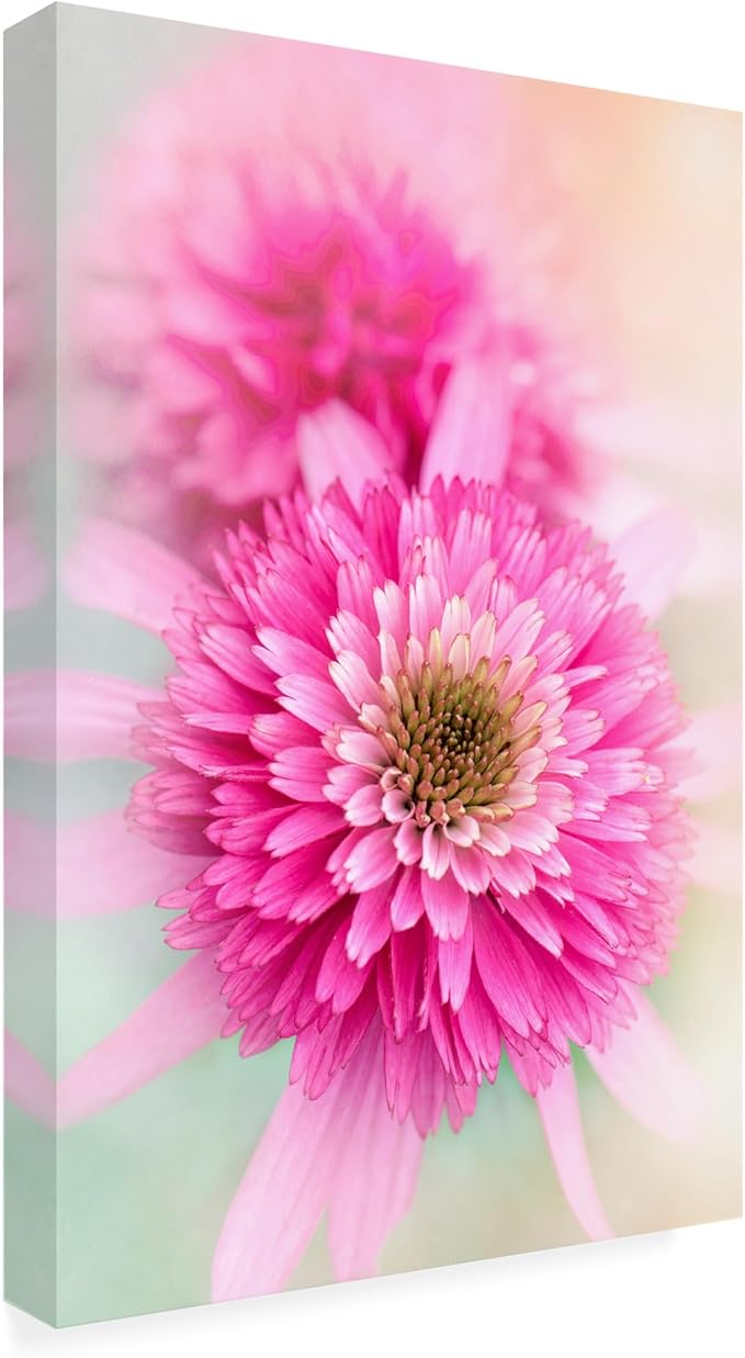 Trademark Fine Art Canvas Wall Art - Jacky Parker 'Summer Spirit' Wall Art for Living Room, Bedroom, or Office Décor 22 x 32 Inches