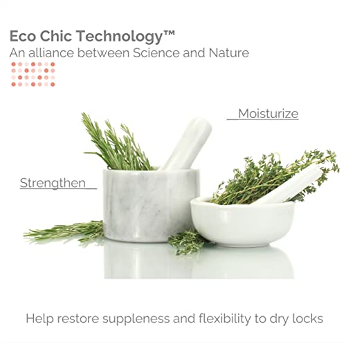 GIOVANNI ECO CHIC 50:50 Balanced Hydrating Calming Conditioner - Leaves Hair pH Balanced, Ideal for Over-Processed, Environmentally Stressed Hair, No Parabens, Color Safe, Sulfate Free - 24 oz