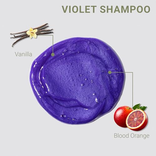 Loma Hair Care Violet Shampoo Violet Conditioner Duo, 12 Fl Oz , 2 Count (Pack of 1)