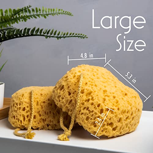 myHomeBody Bath Sponge, Foam Loofah, Body Scrubber for Bathing, Exfoliating Shower Pouf for Shower – Large Size, Lots of Lather, Curvy, 3 Pack