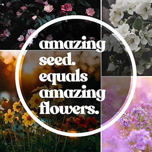 Wildflower Seed Bulk - Midwestern Wildflower Mix - 1 lb. 640,000+ Prairie Wildflowers - Annual & Perennial Flower Seeds - Wildflowers - Flower Seeds Bulk - Pollinator Flowers Seed