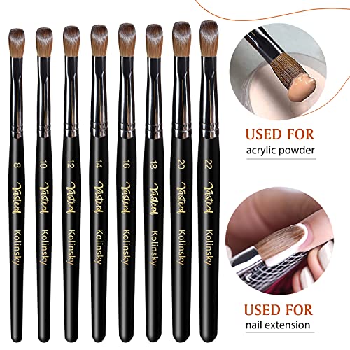 Yasterd Acrylic Nail Brush 100% Kolinsky Acrylic Brushes for Nails Size 8 Oval Crimped Shaped Nail Brushes for Acrylic Application Black Wood Handle Professional Nail Art Powder Brush Manicure Tool