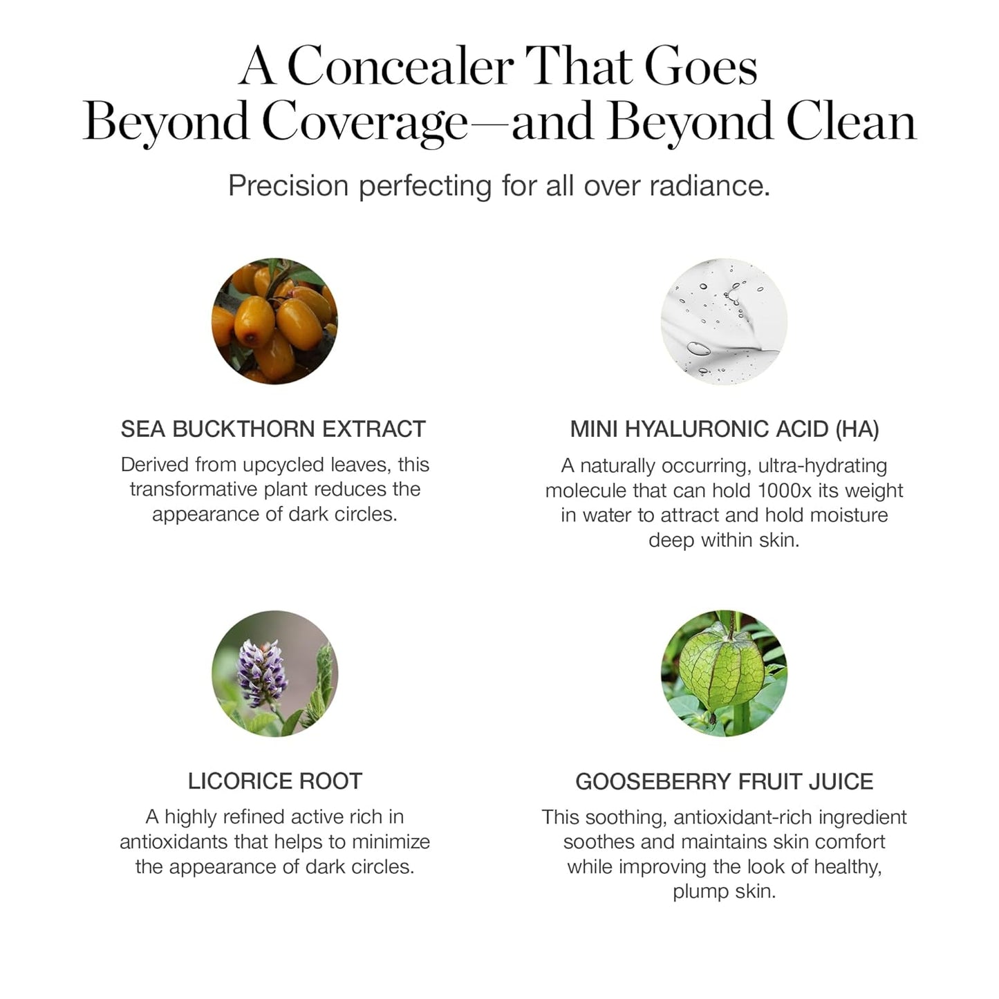 Ogee Complexion Perfecting Under Eye Concealer - Certified Organic Full Coverage Concealer - Buildable Coverage - FICUS 4.00N - Medium Deep (Warm Undertones)