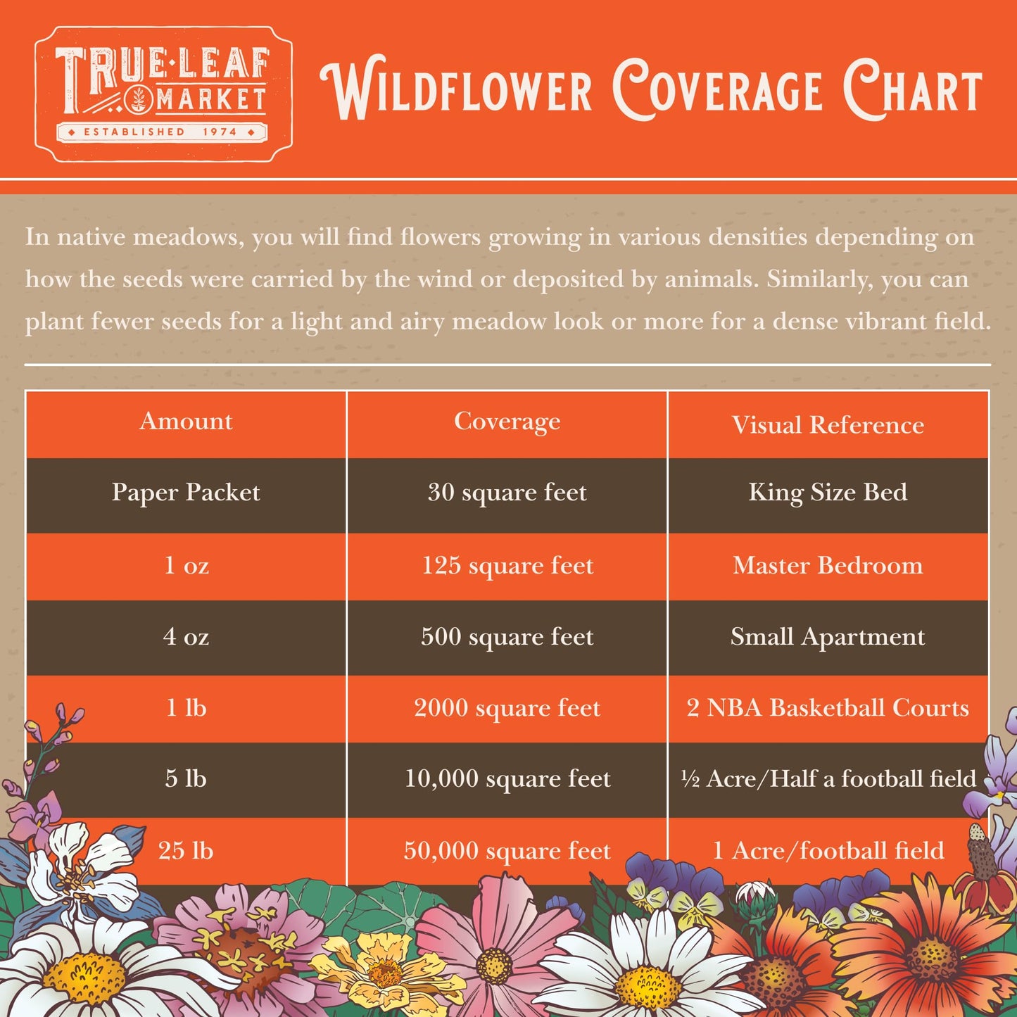 Wildflower Seed Bulk - Midwestern Wildflower Mix - 1 lb. 640,000+ Prairie Wildflowers - Annual & Perennial Flower Seeds - Wildflowers - Flower Seeds Bulk - Pollinator Flowers Seed