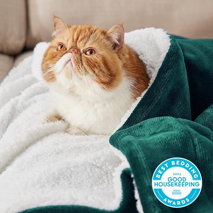 Bedsure Sherpa Fleece Throw Blanket Twin Size for Couch - Thick and Warm, Soft Fuzzy Plush Twin Blanket for Winter, Forest Green, 60x80 Inches