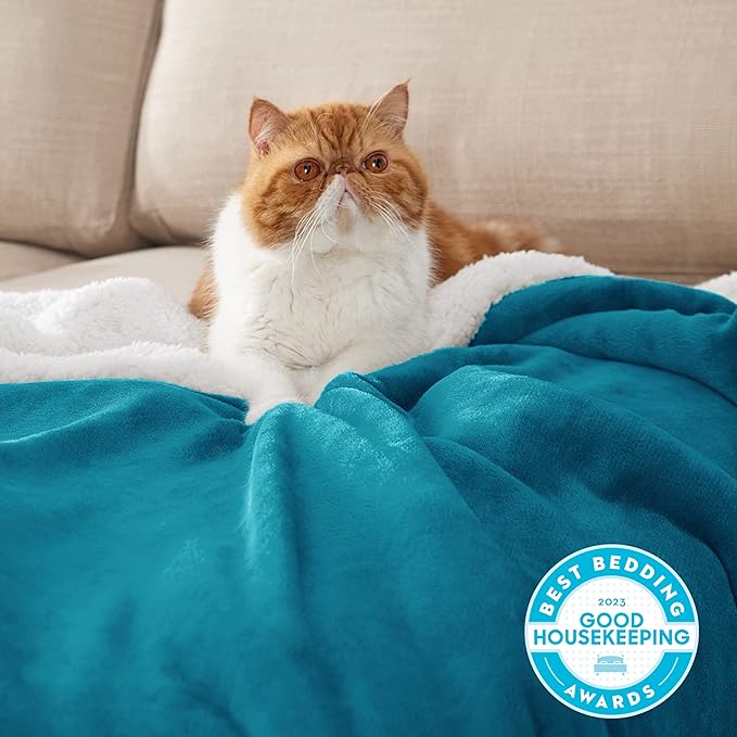 Bedsure Sherpa Fleece Blankets King Size for Bed - Thick and Warm, Soft Fuzzy Plush King Blanket for Winter, Teal, 108x90 Inches
